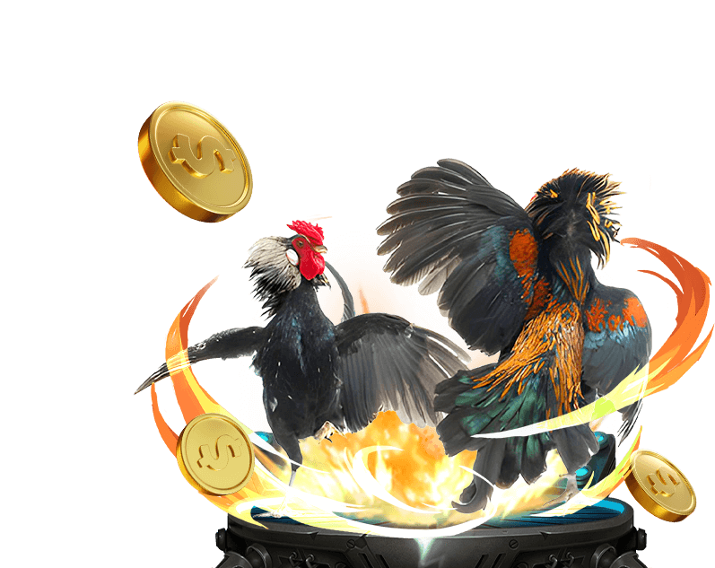 Đá Gà Trực Tuyến Sunwin